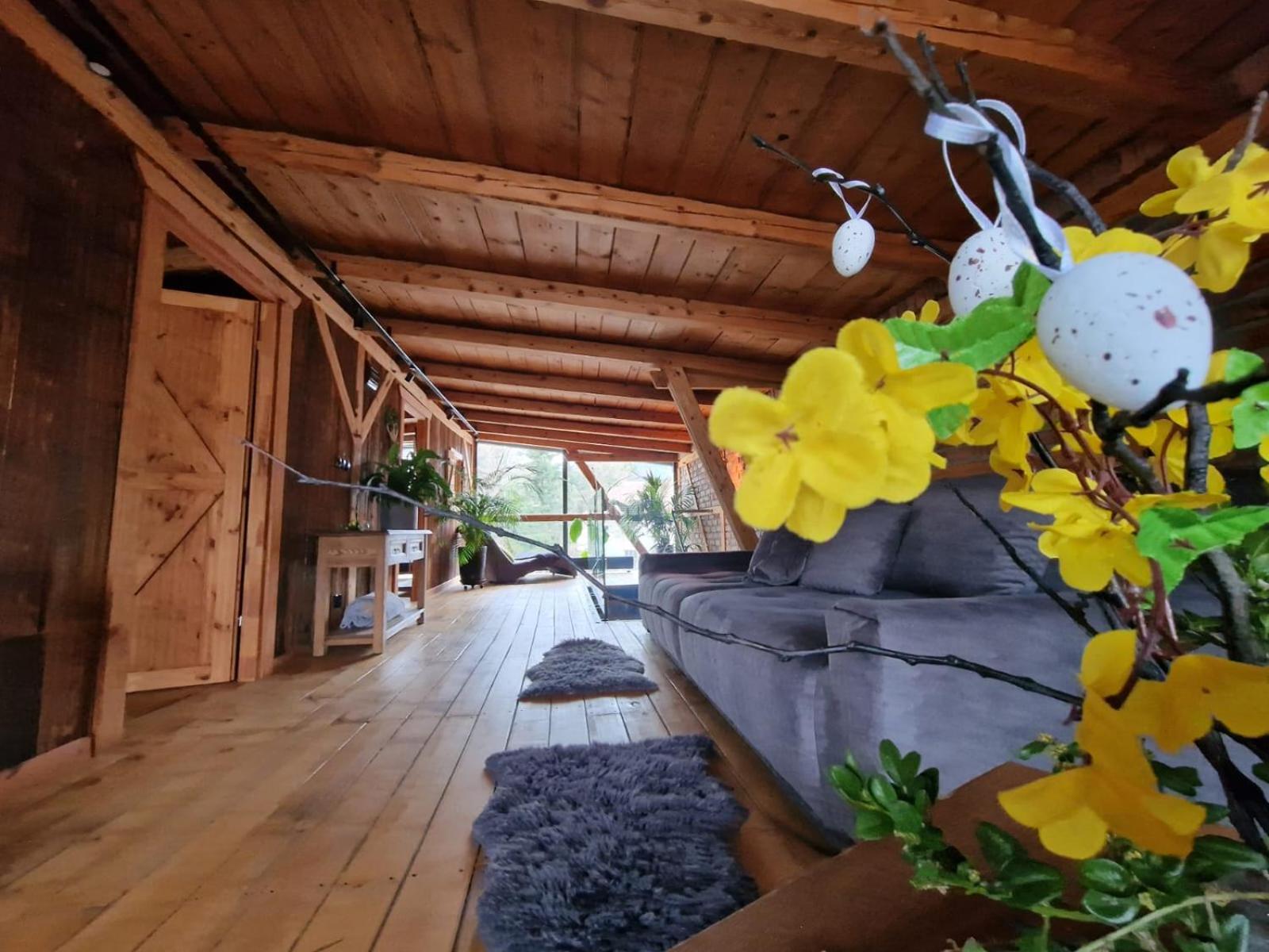 Villa Dom Pod Lipa à Szklarska Poreba Extérieur photo